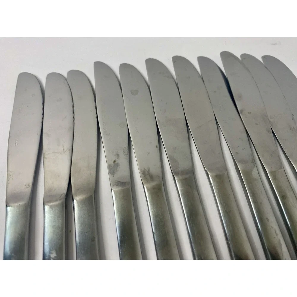 Dinner Knives CASA VISTA Rogers Stanley Roberts Stainless Lot Of 11